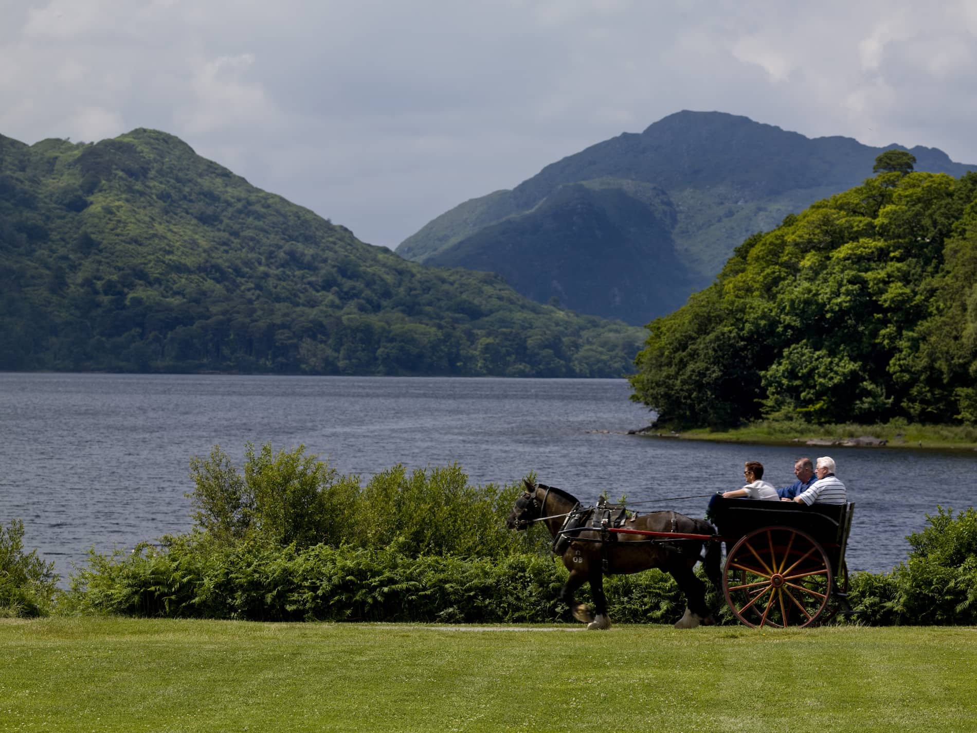 accessible-attractions-visually-impaired-killarney-kerry-bg