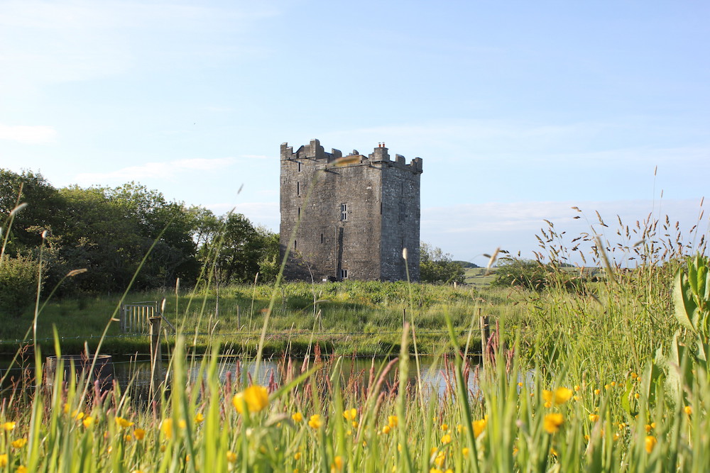 Smithstown Castle rising above tall grasses and wildflowers beside a reflective pond in County Clare.