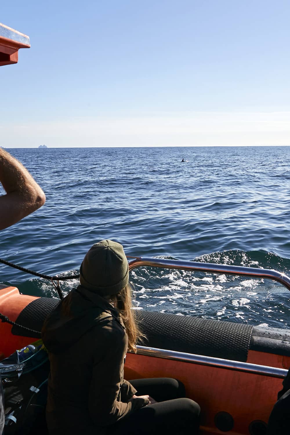 Woman in a green hat and jacket watching the ocean from a tour boat as a dolphin fin appears in the distance off Dingle.