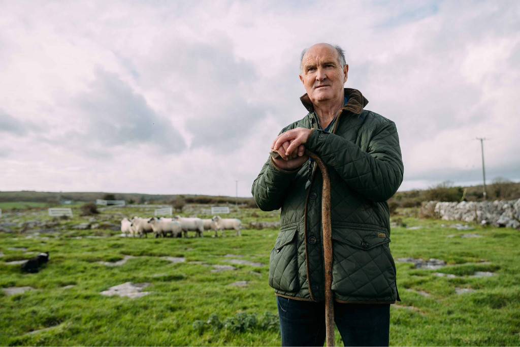 caherconnell- stone-fort-and sheepdog-top-things-in-springs
