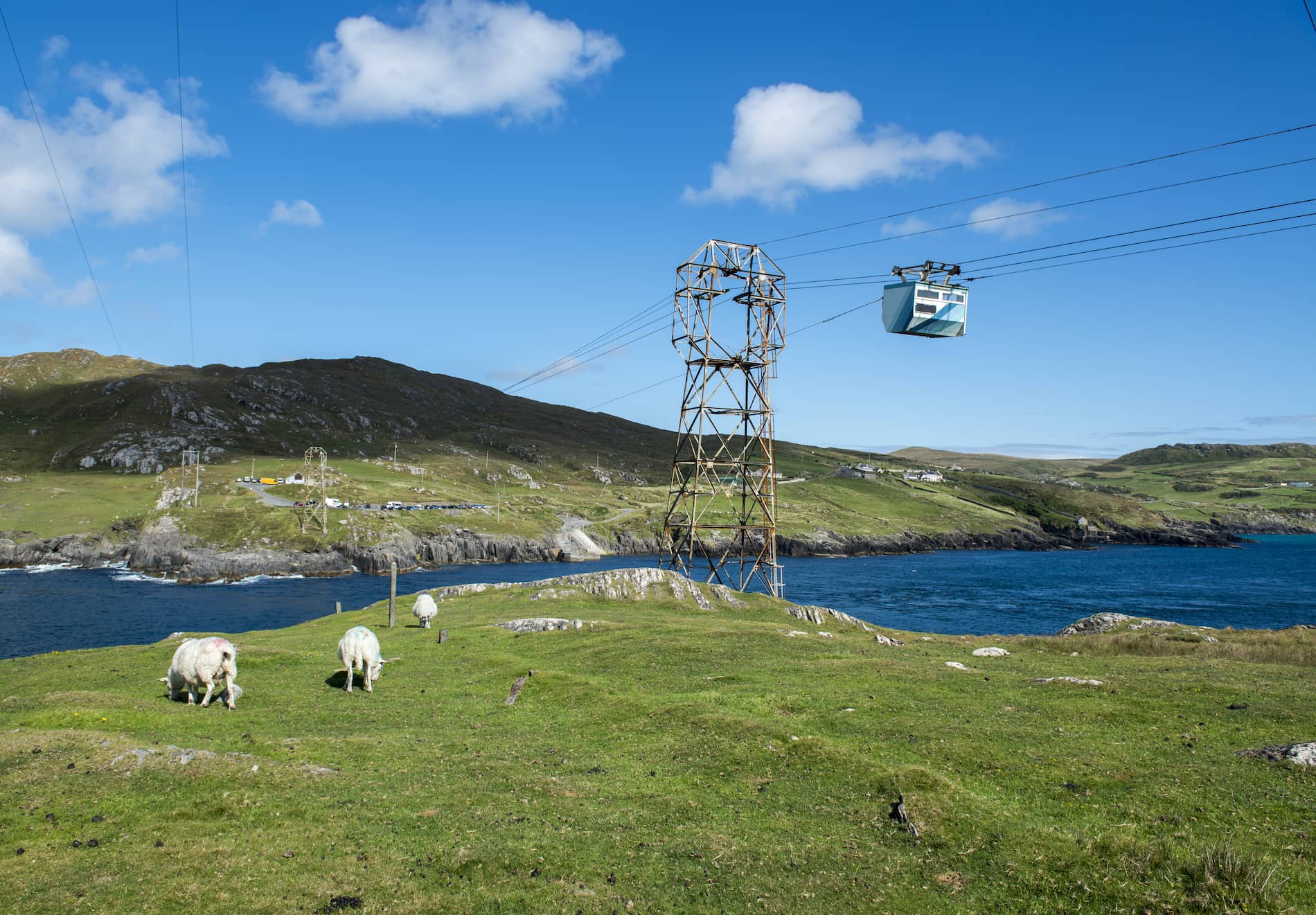 Sheep graze on hills near the Dursey Island cable car, with sea and rugged Beara Peninsula scenery behind.