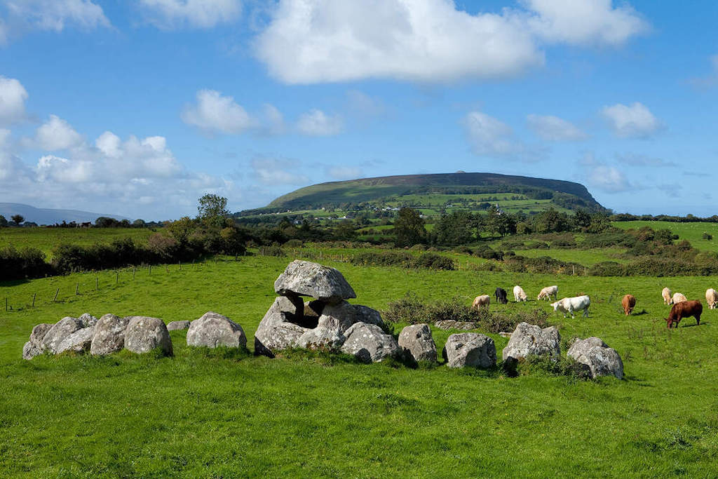 Portal tomb in green pasture with grazing cattle, Ben Bulben plateau rising behind under bright blue Sligo sky.