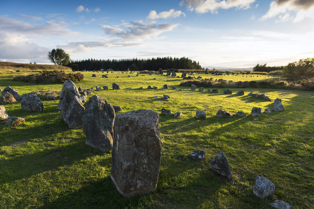 Scattered alignment of standing stones stretching across a field at Beaghmore, Tyrone, in soft afternoon sunlight.