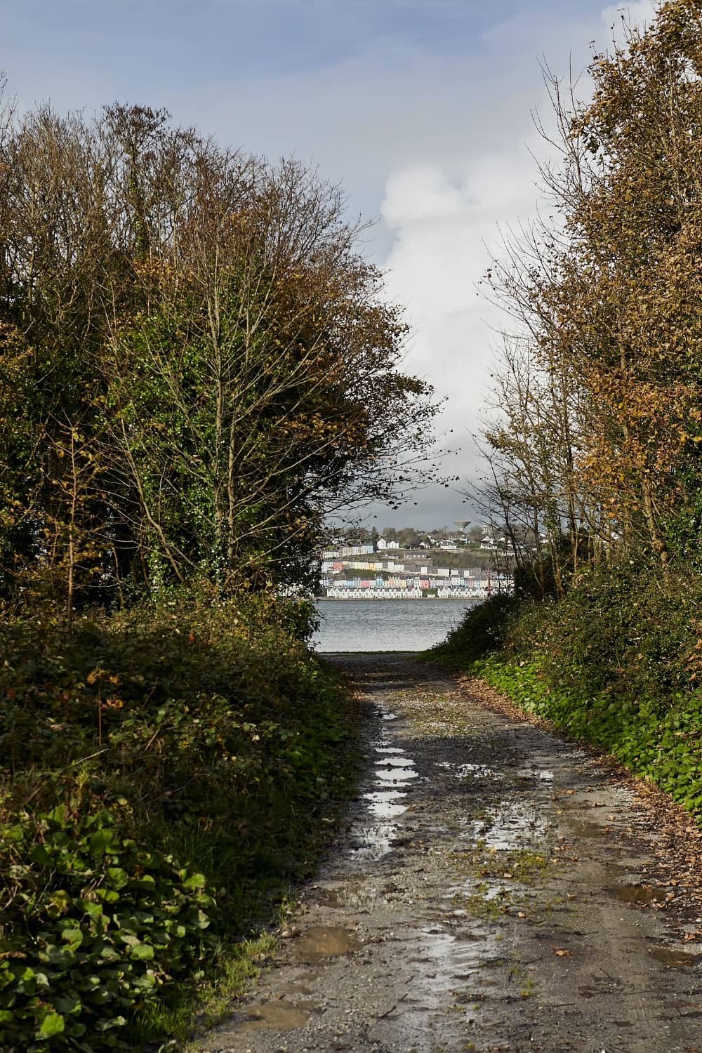 Tree-lined path on Spike Island with view to Cobh’s waterfront across the harbour.