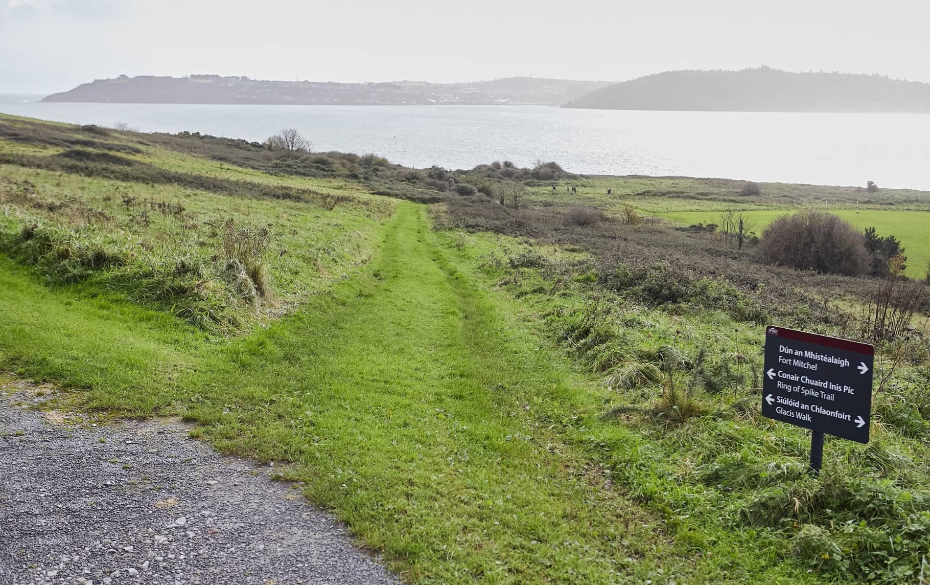 Coastal walking trail on Spike Island with directional sign and sea views.