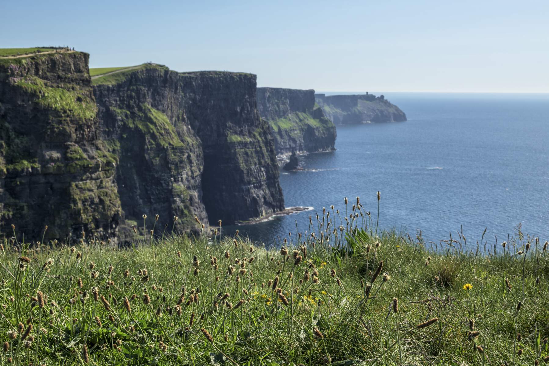 Cliffs of Moher rising above the Atlantic Ocean on a clear spring day in County Clare, Ireland.