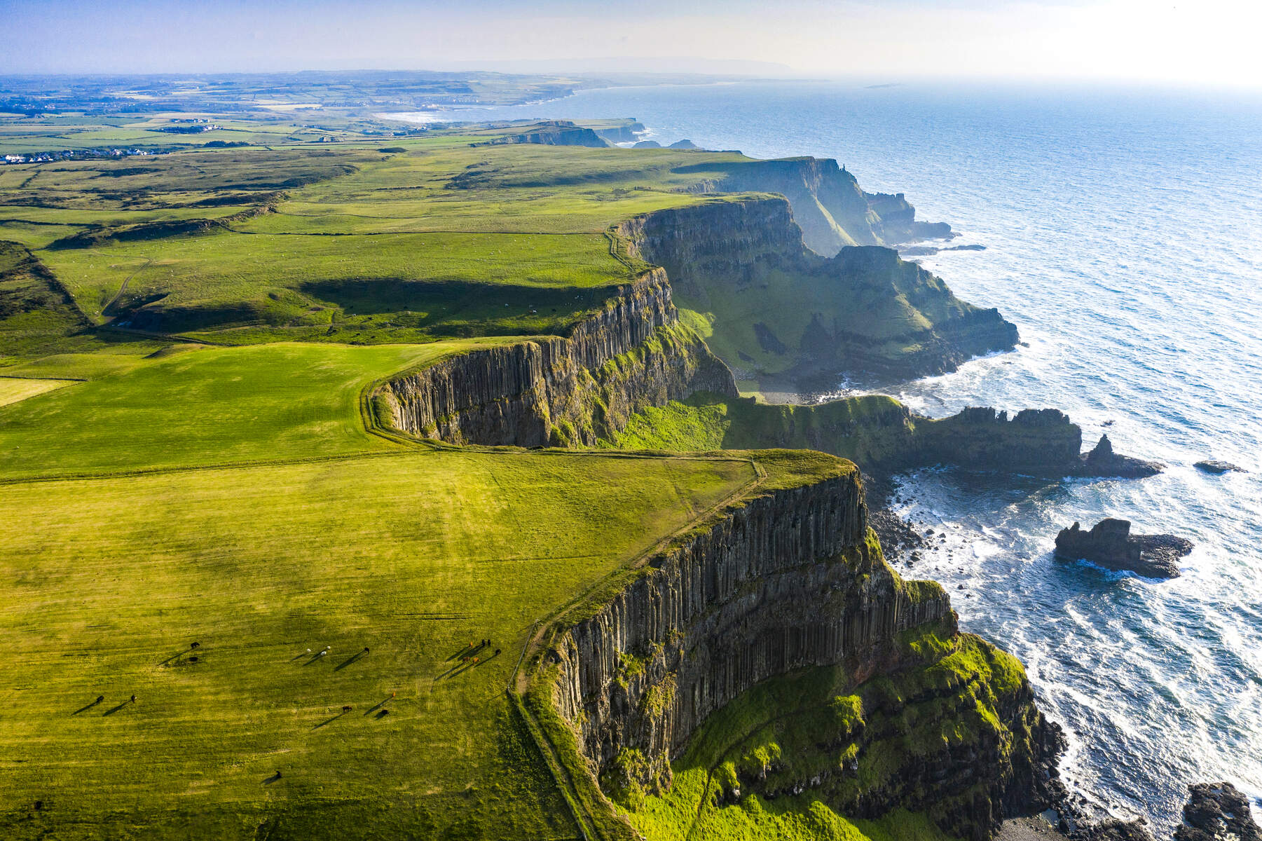 Cliffs and green fields along the Causeway Coast in County Antrim, Northern Ireland, beside the Atlantic Ocean.