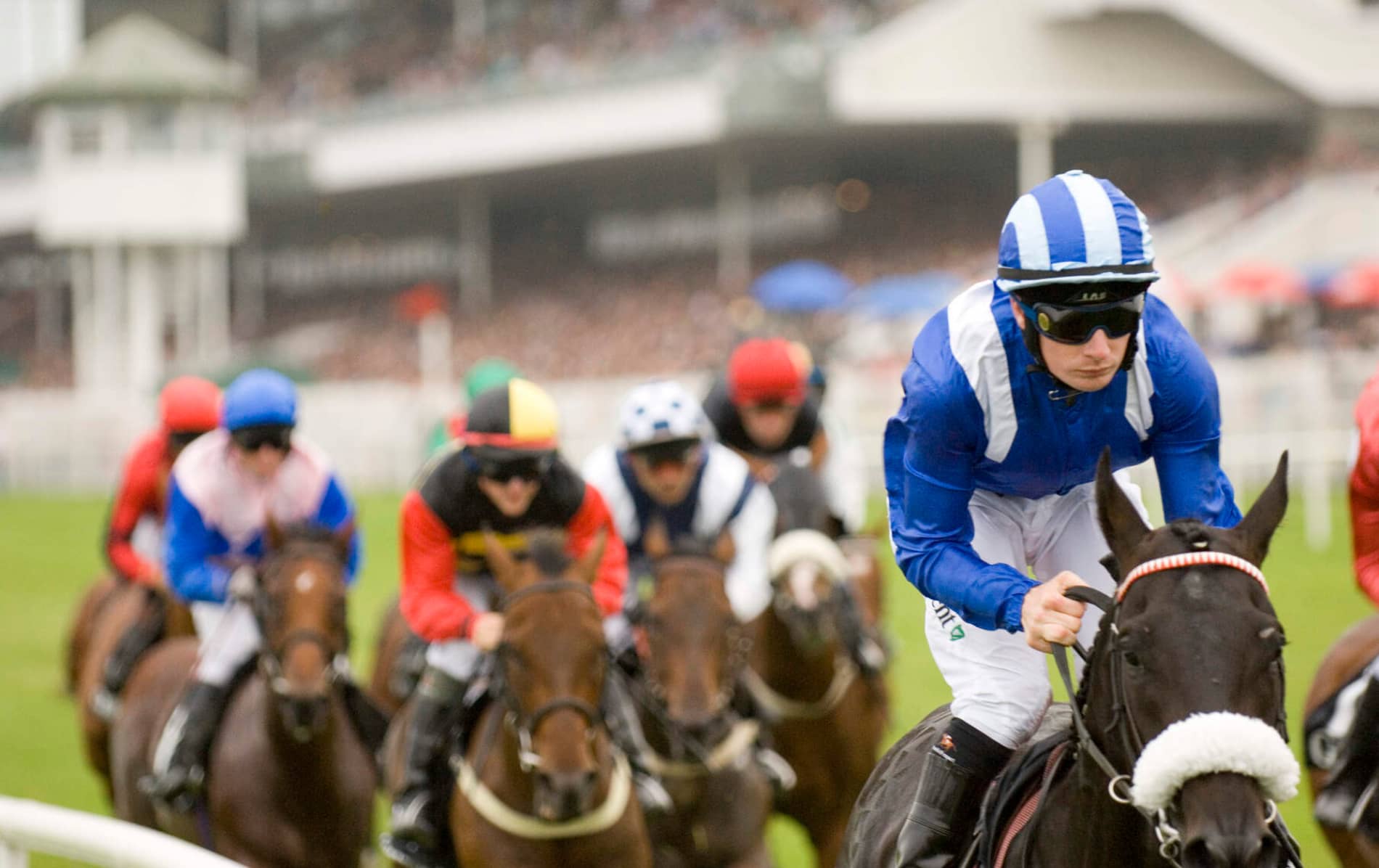 Jockeys racing horses at the Leopardstown Christmas Festival in Dublin.