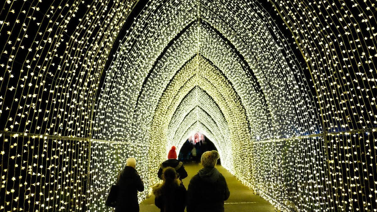 Visitors to Hillsborough Castle in County Down walking through a glowing tunnel of Christmas lights creating an archway of warm golden illumination.