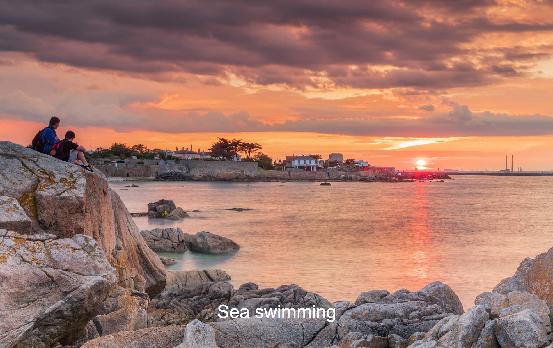 christmasquiz-seaswimming