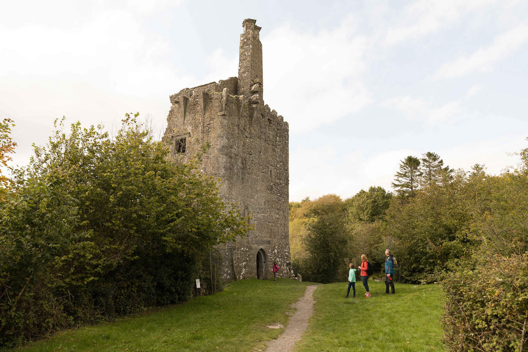 Dromore Wood Ennis Co Clarewebsize