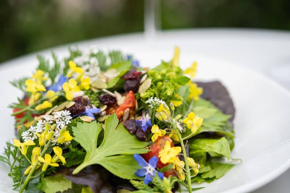 restaurants-kitchen-gardens-killeavy-castle-garden-salad
