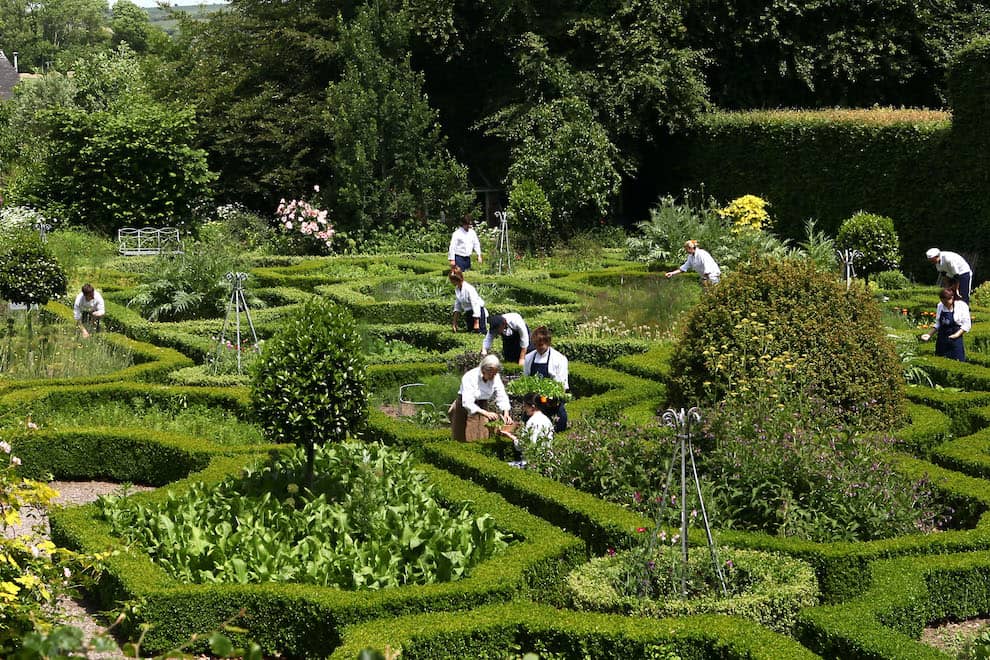 restaurants-kitchen-gardens-ballymaloe-herb-garden-cork
