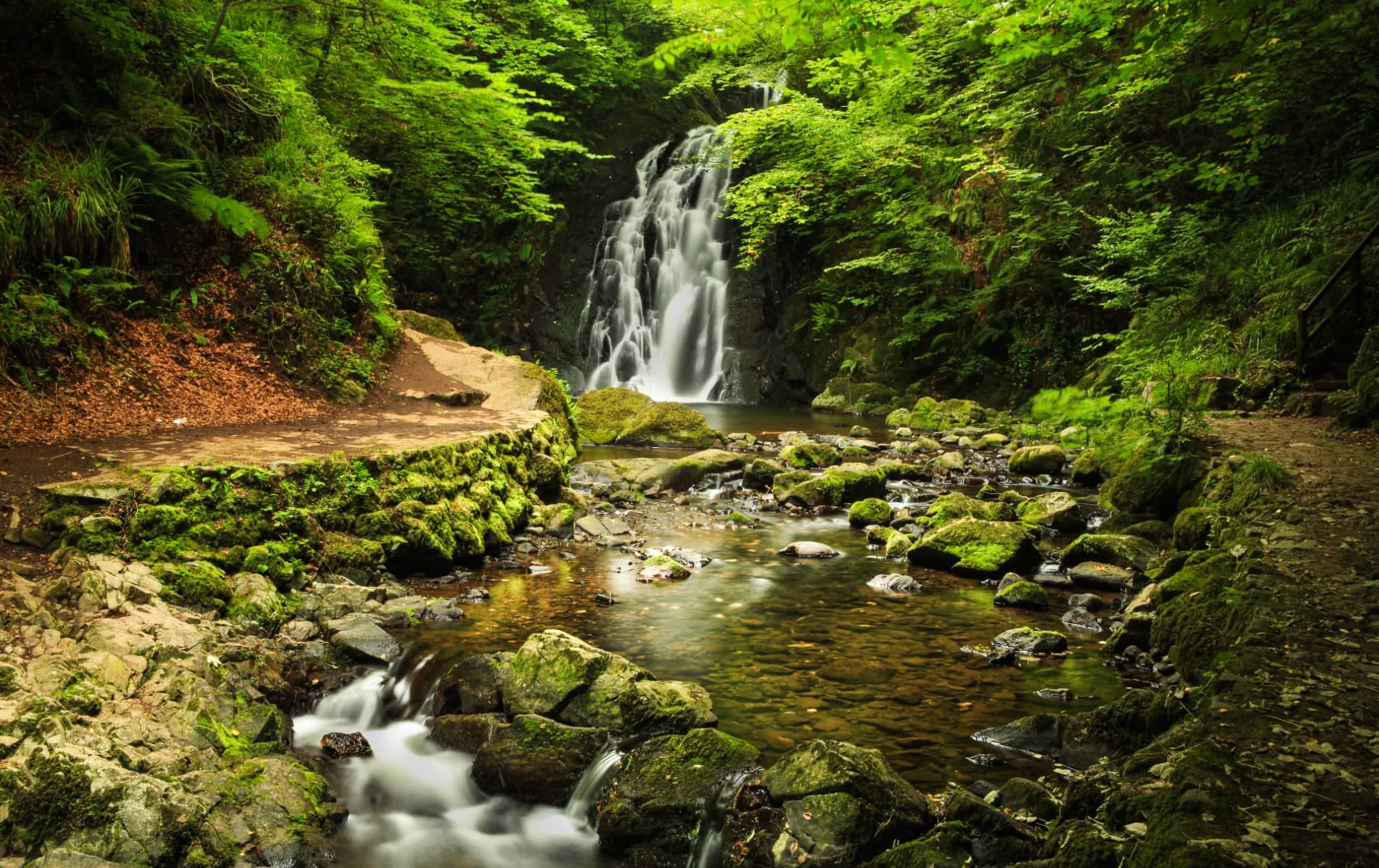 Glenoe Waterfall flows through a green, mossy glen with rocky pools and woodland in County Antrim.