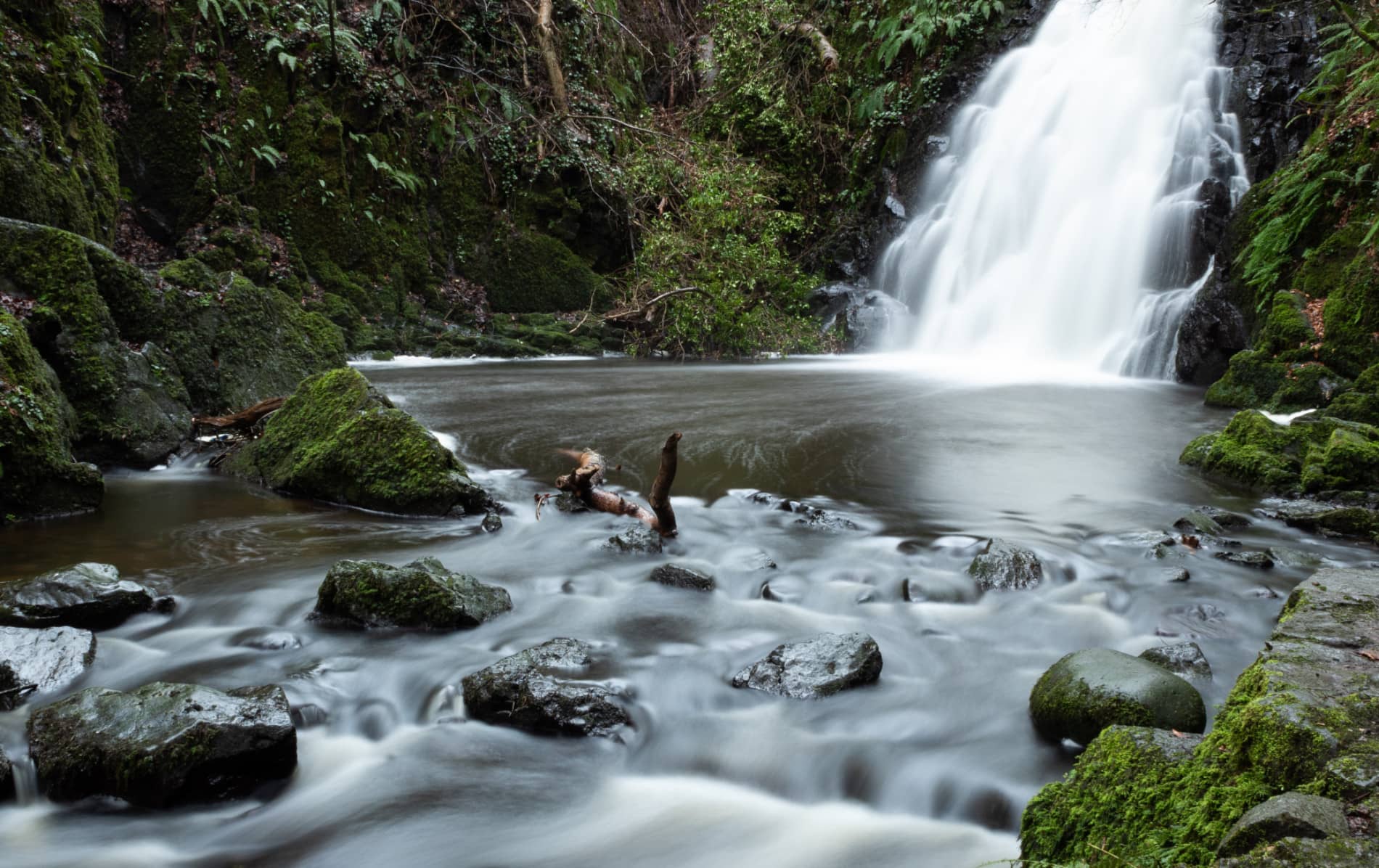 Close-up of waterfall tumbling into a dark forest pool surrounded by mossy rocks and ferns.