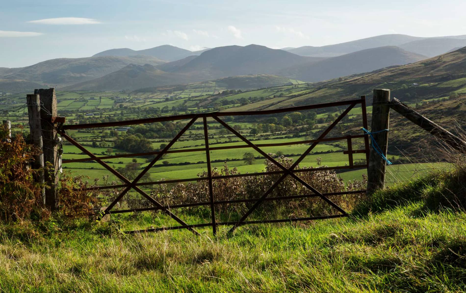 literaryireland-mournemountains