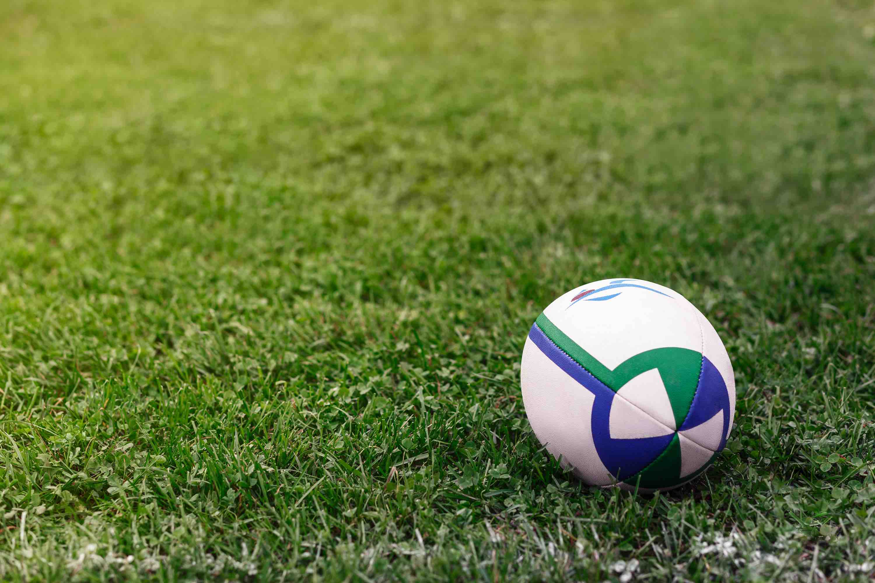 Official rugby ball resting on Aviva Stadium turf in Dublin ahead of a Six Nations or Autumn Nations Series match.