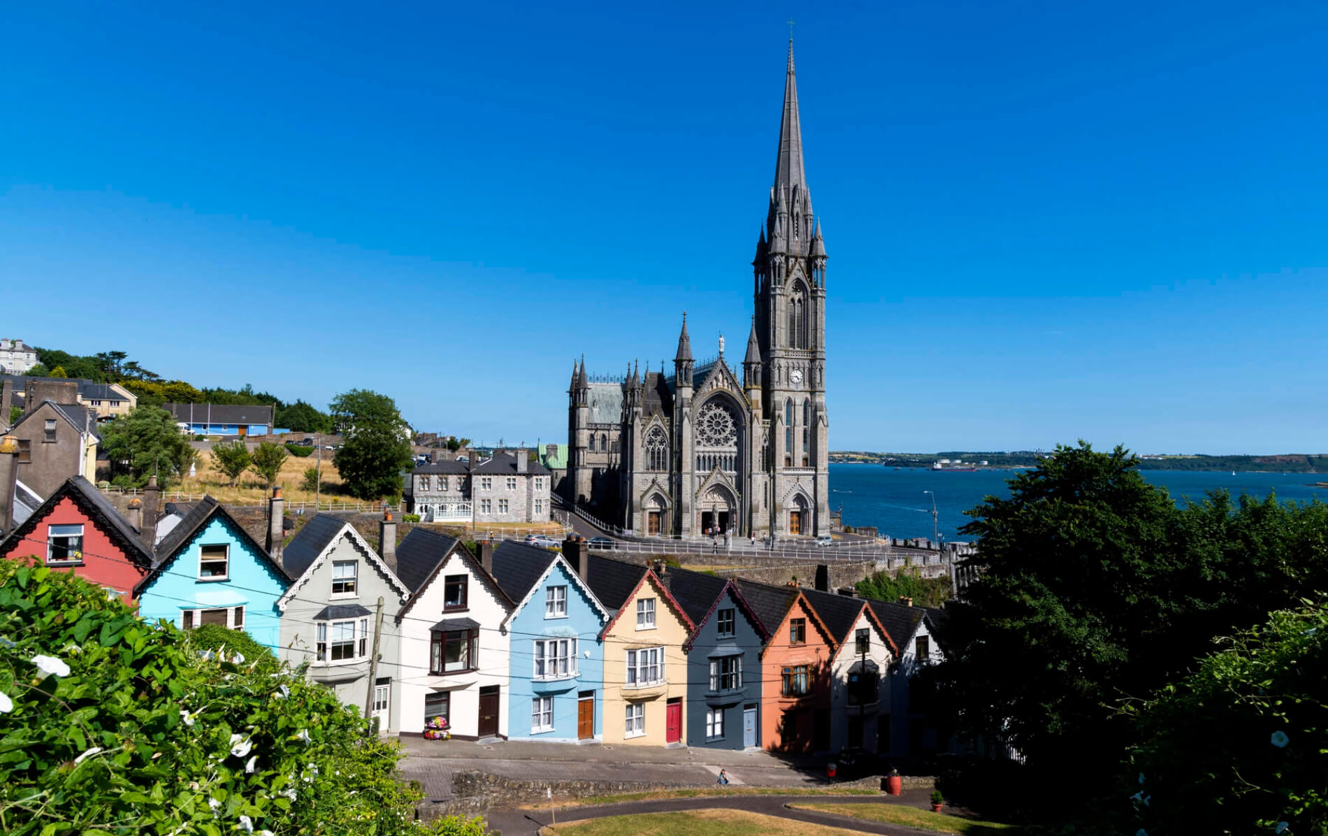 St Colman’s Cathedral towers above the colourful seaside houses of Cobh, with Cork Harbour and clear blue skies behind.