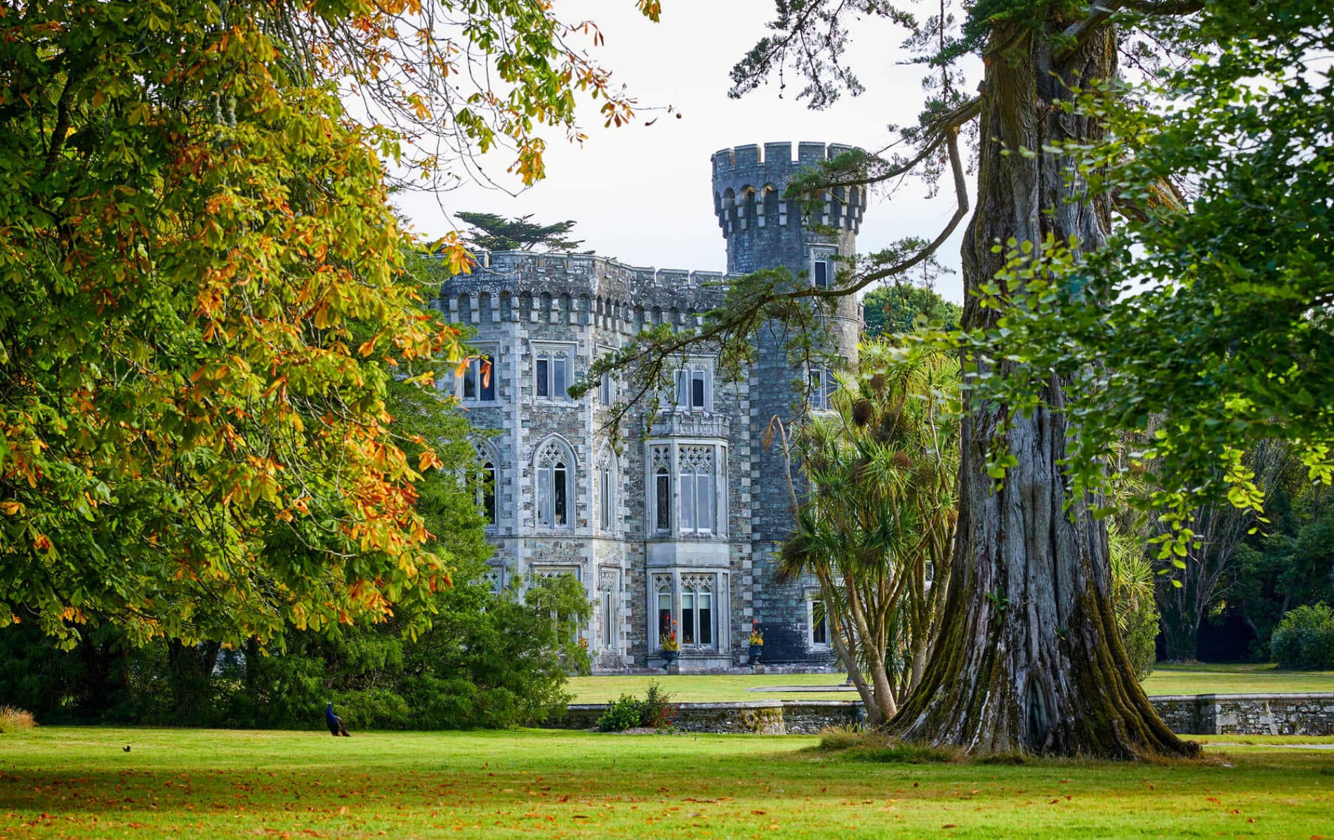 Castle tower partially hidden by autumn trees in Ireland’s Ancient East.