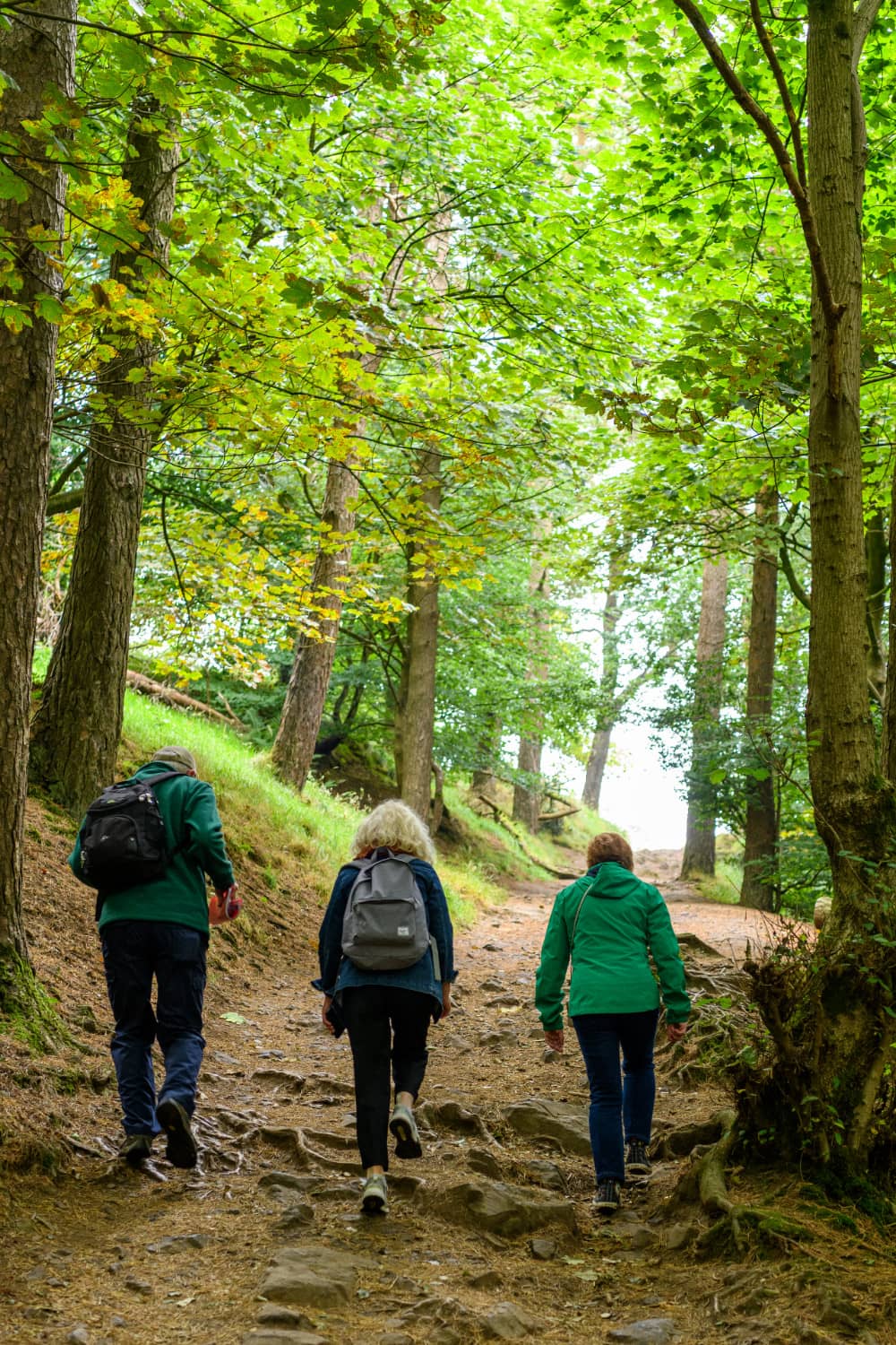 Walkers climbing a wooded path in Cave Hill Country Park under green leafy trees.