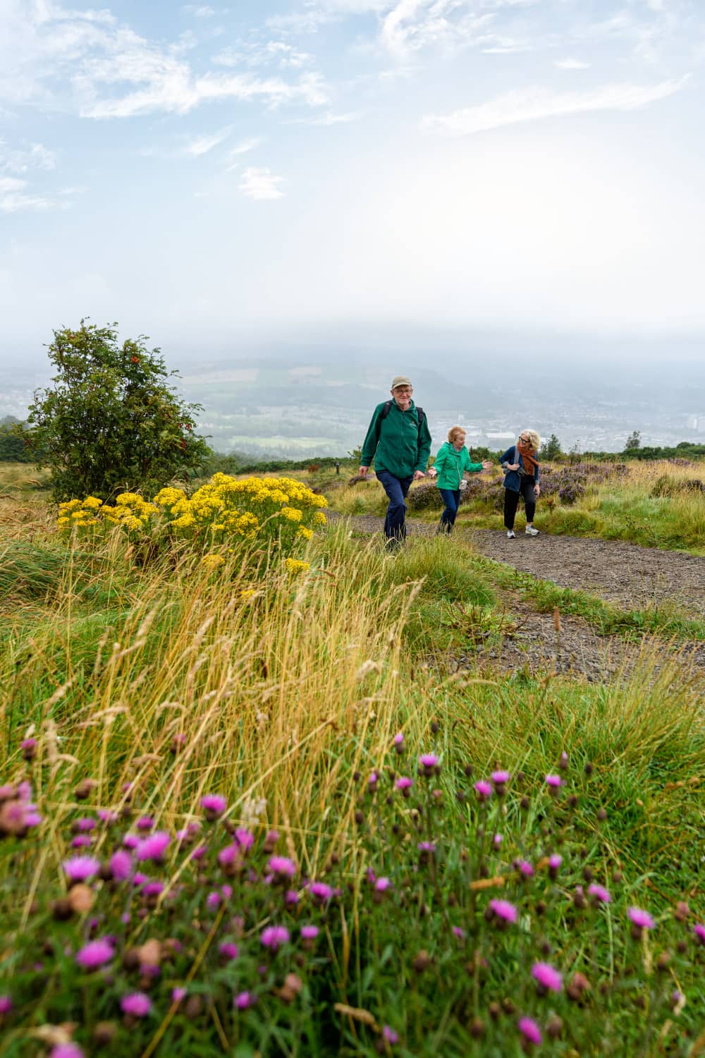 Group of walkers on Cave Hill trail in Belfast, surrounded by wildflowers and misty views.