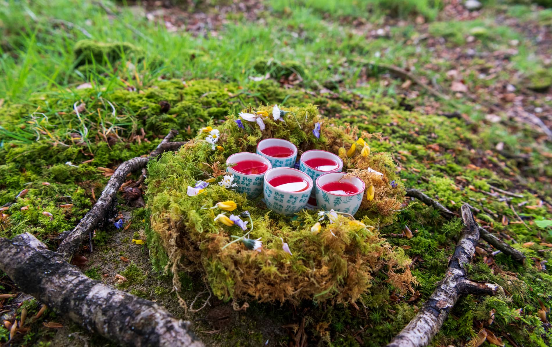 Close-up of mossy forest floor with teal ceramic cups and petals arranged in small circle.