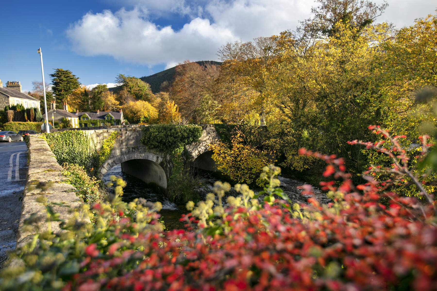 Stone bridge framed by autumn trees in Rostrevor village, County Down.