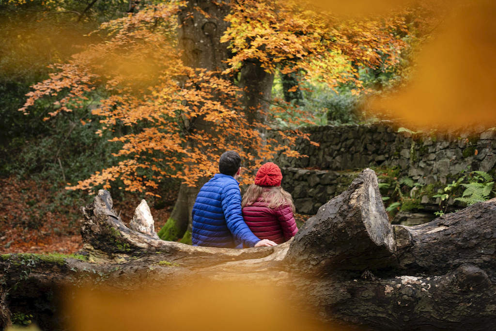 Couple in bright jackets admiring autumn foliage in Kilbroney Forest Park, County Down.