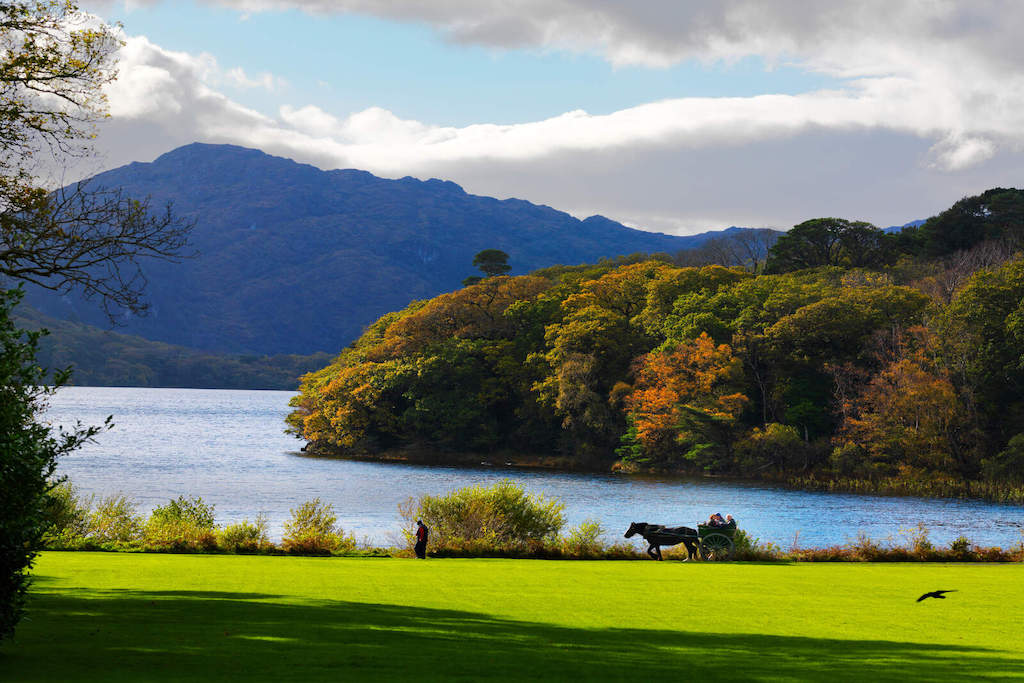 Horse-drawn carriage by the lake in Killarney National Park with autumn trees and mountains.