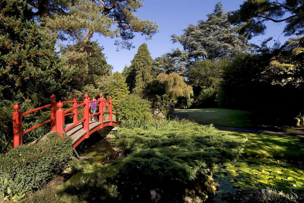 Bright red bridge crosses a stream in a landscaped Japanese Garden at the Irish National Stud in County Kildare.