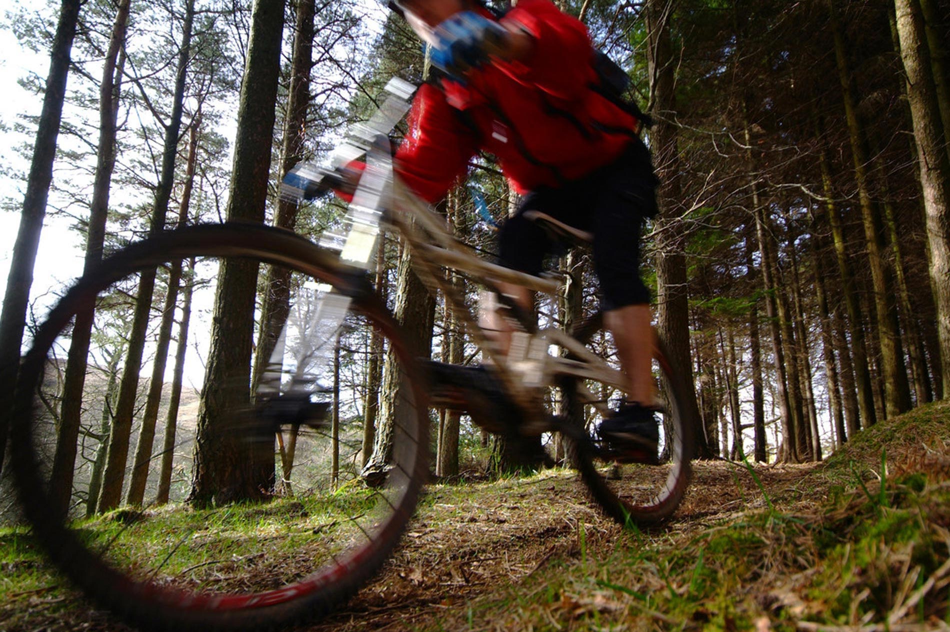 Mountain Biking