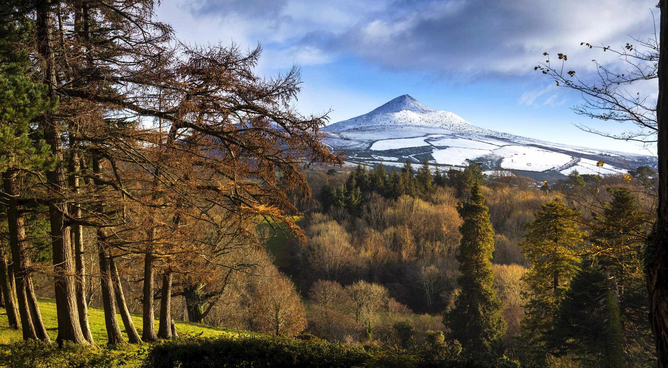 Snow-dusted Sugarloaf Mountain rising above autumnal woodlands in County Wicklow, Ireland.