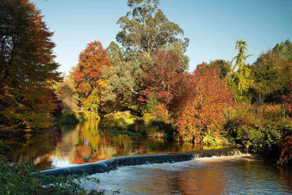 Autumn foliage reflected in a calm river at Mount Usher Gardens in County Wicklow.