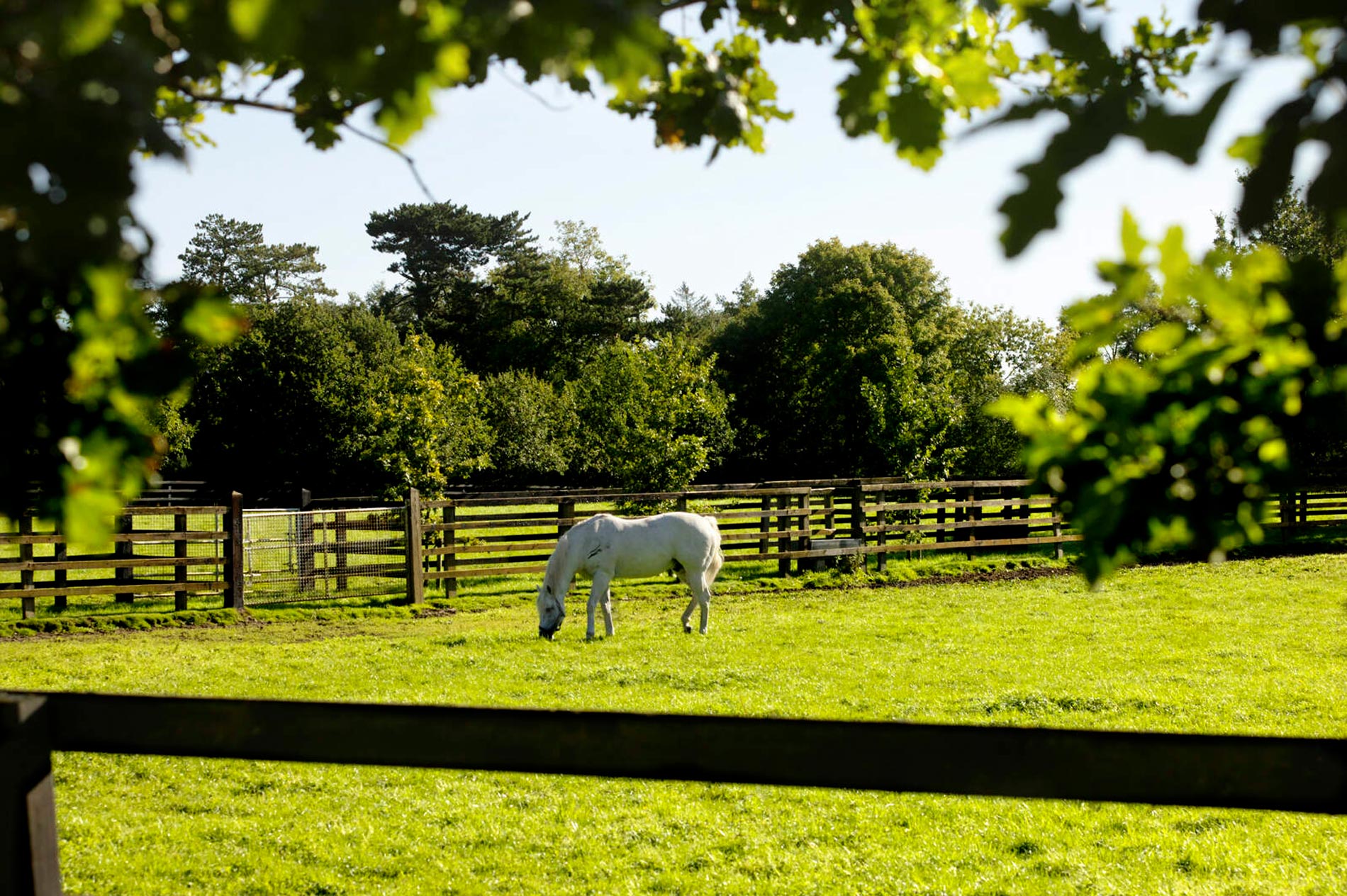dublin-to-galway-national-stud