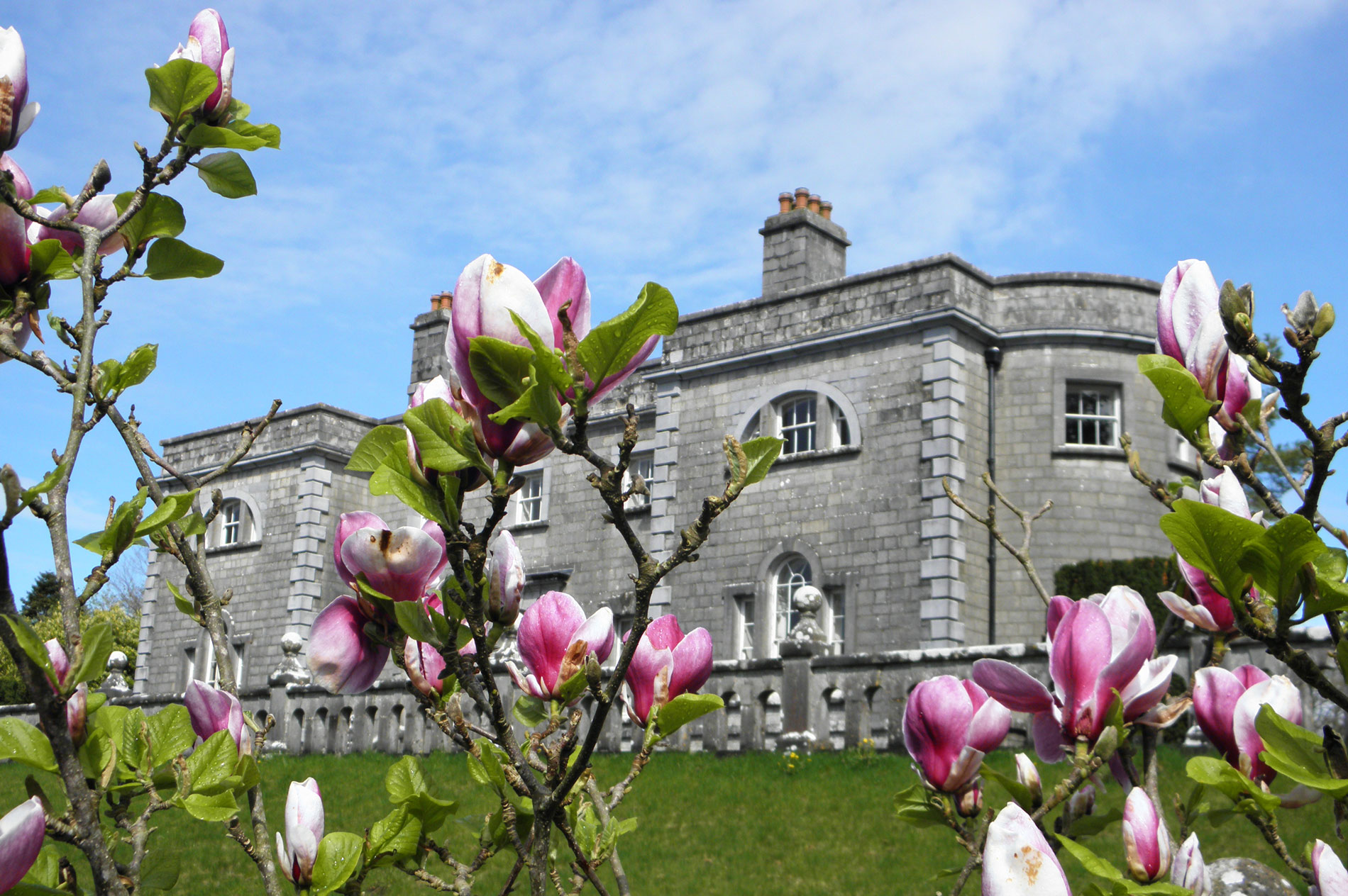 dublin-to-galway-belvedere