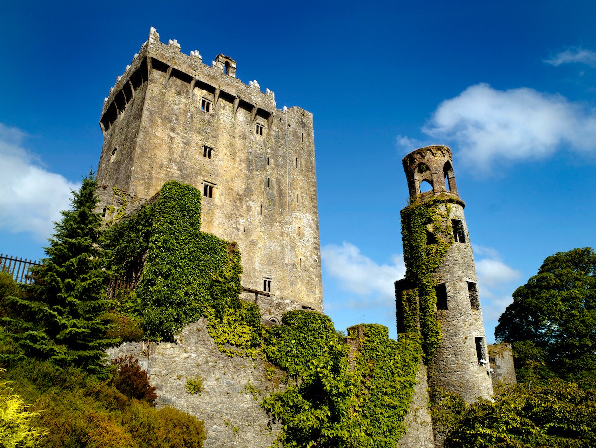 Ivy-clad stone walls of Blarney Castle and tower rise against a bright blue sky in County Cork.