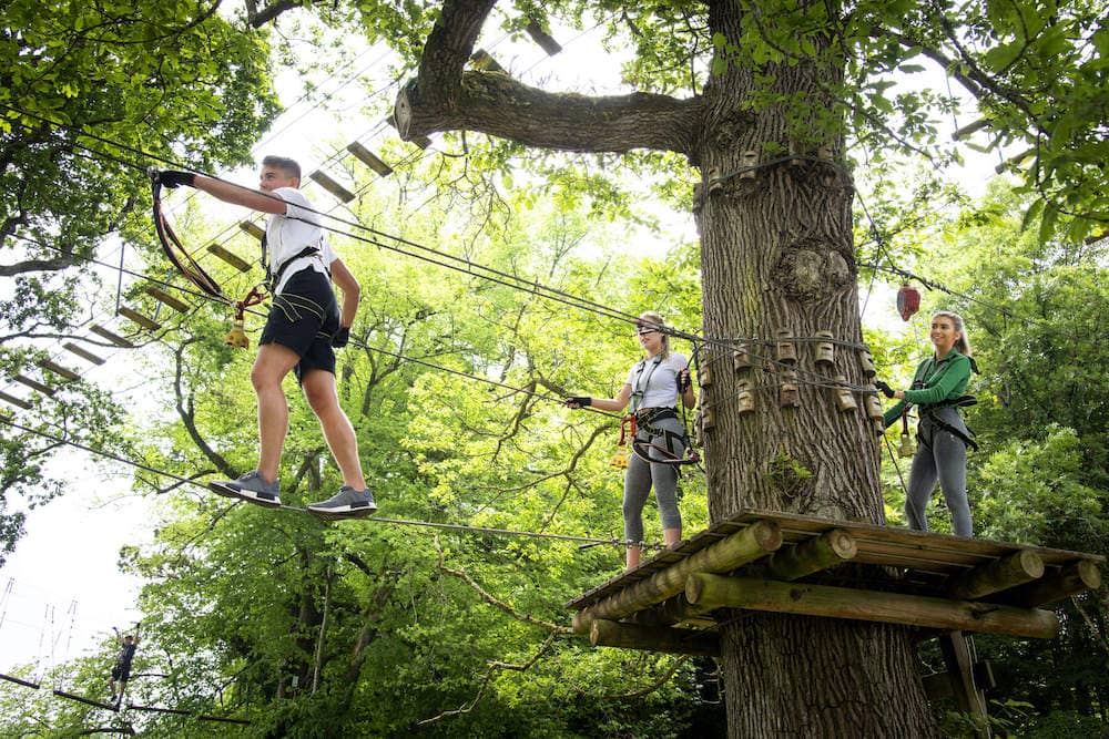 shannon-cruise-trip-zipit-forest-adventures-lough-key-roscommong