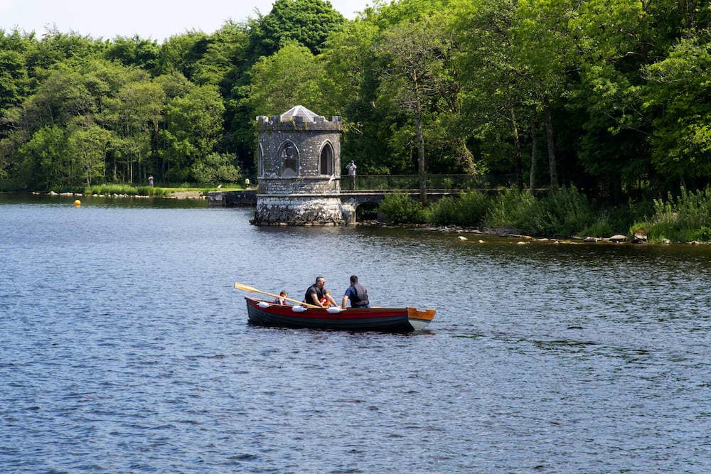 shannon-cruise-trip-boating-lough-key-forest-park-roscommon