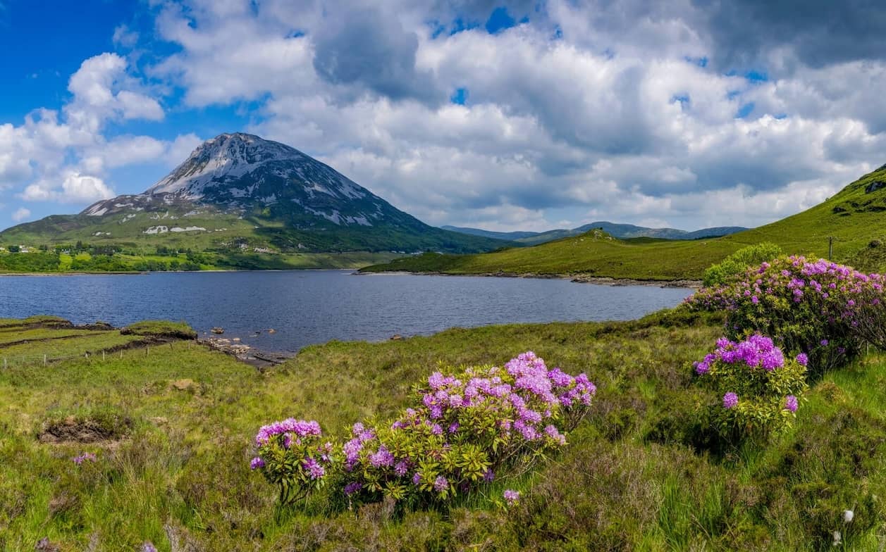 Errigal view_Co Donegal_collage