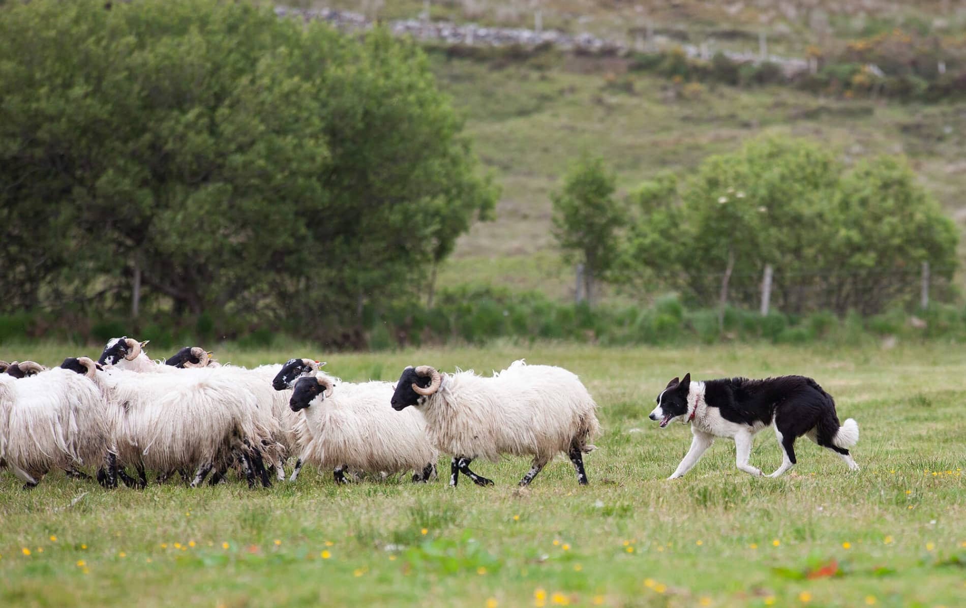 explorefromwestport-glenkeenfarm