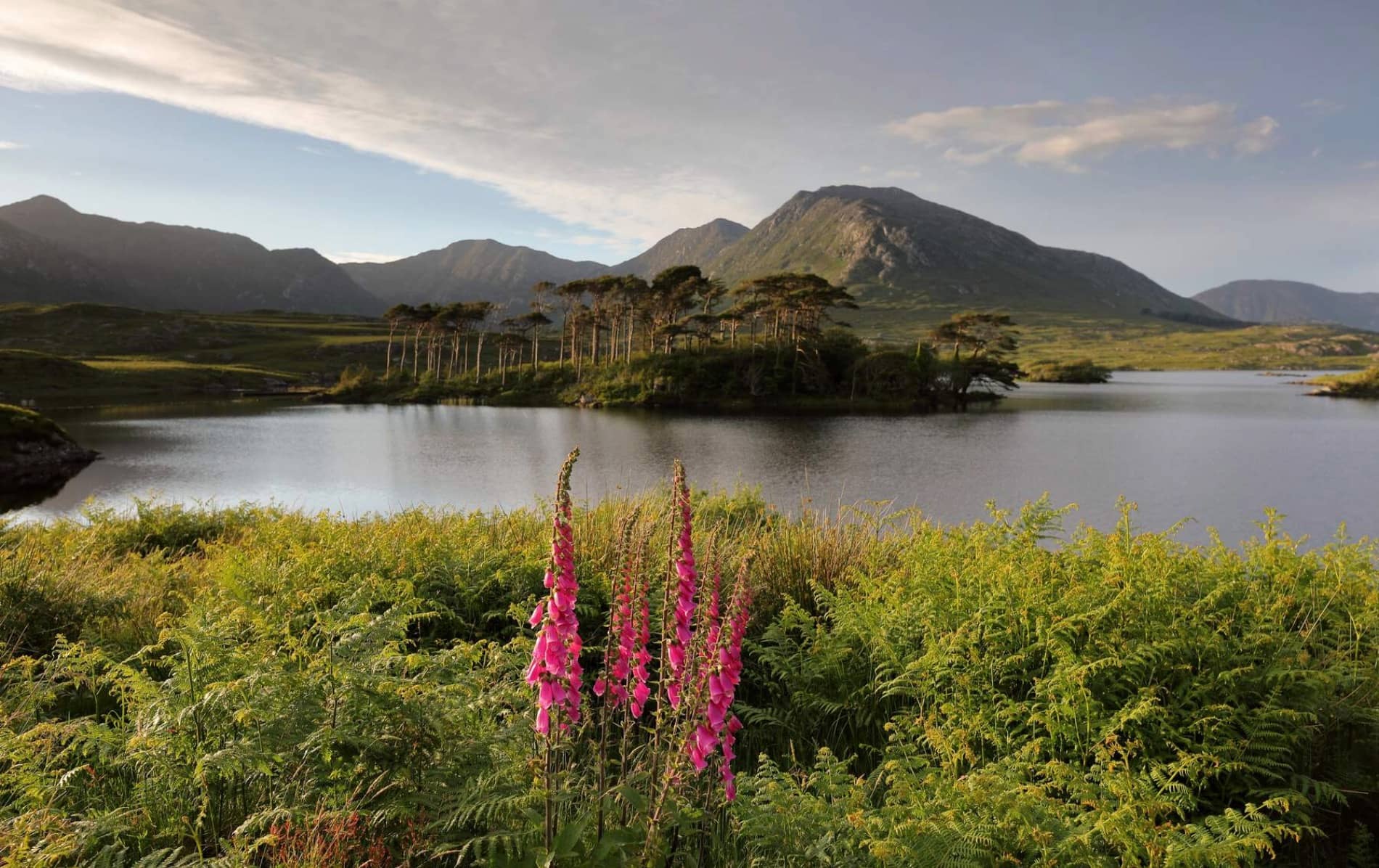 explorefromwestport-connemara