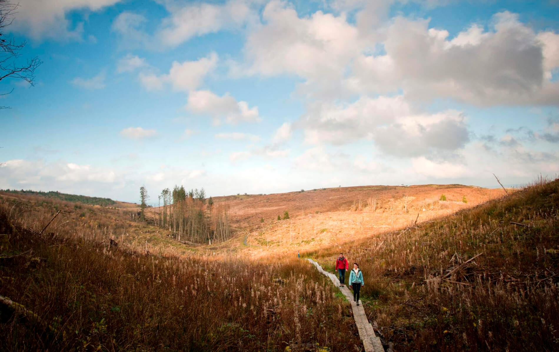 legend-of-irelands-ancient-east-cavan-burren-park-county-cavan-header-v1