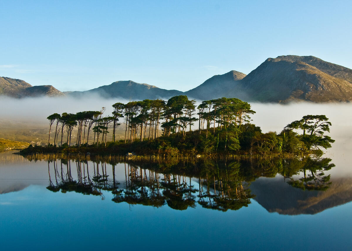 Derryclare Lough reflecting pine trees and the Twelve Bens in Connemara National Park, County Galway.