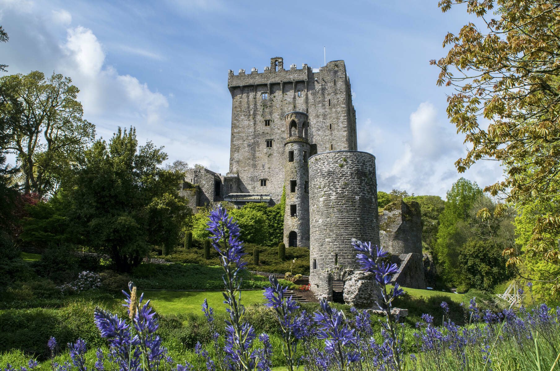 Stone towers of Blarney Castle, County Cork, surrounded by lush trees and summer flowers.