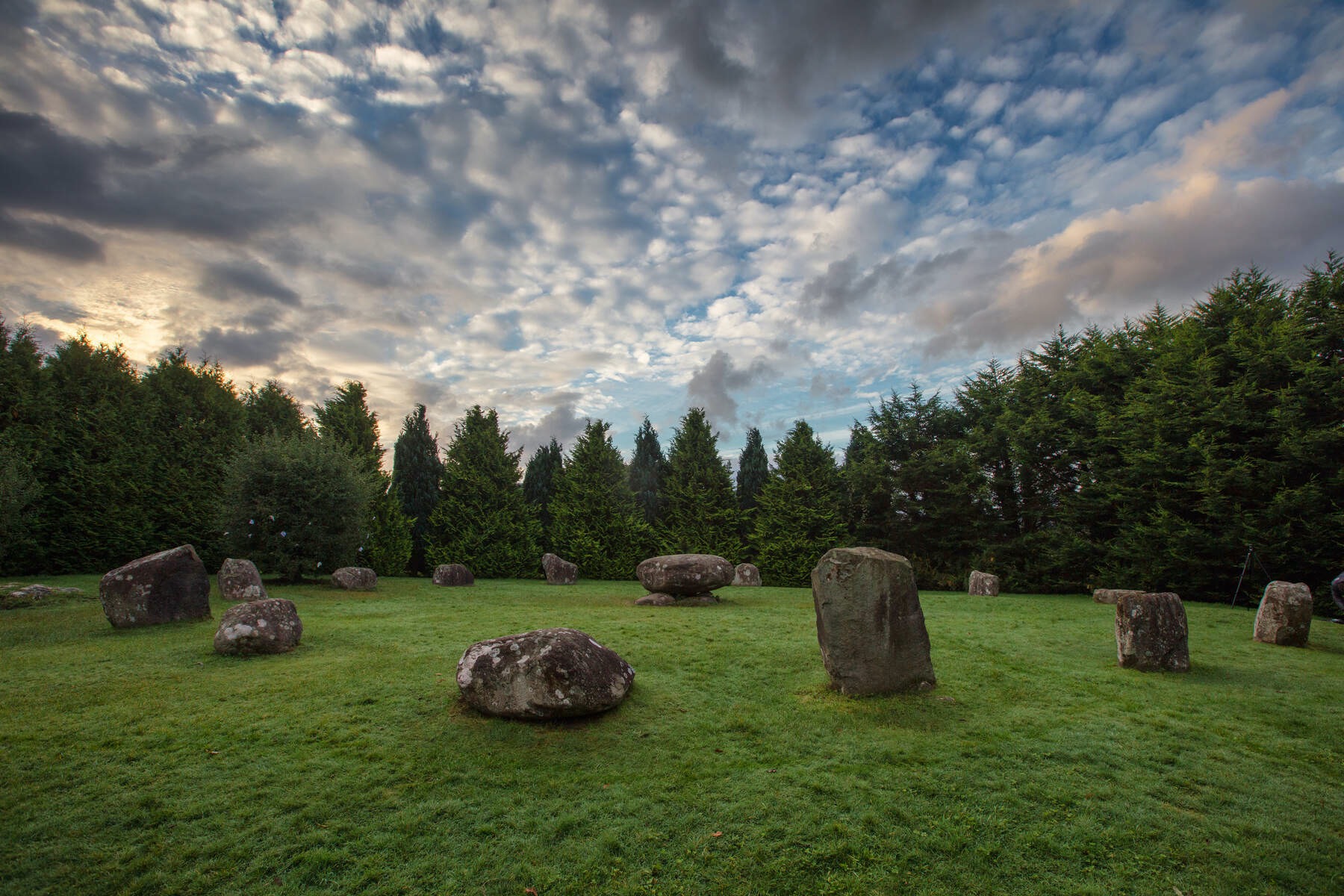 Ancient stone circle on grassy field surrounded by tall trees at dusk at Kenmare, County Kerry.