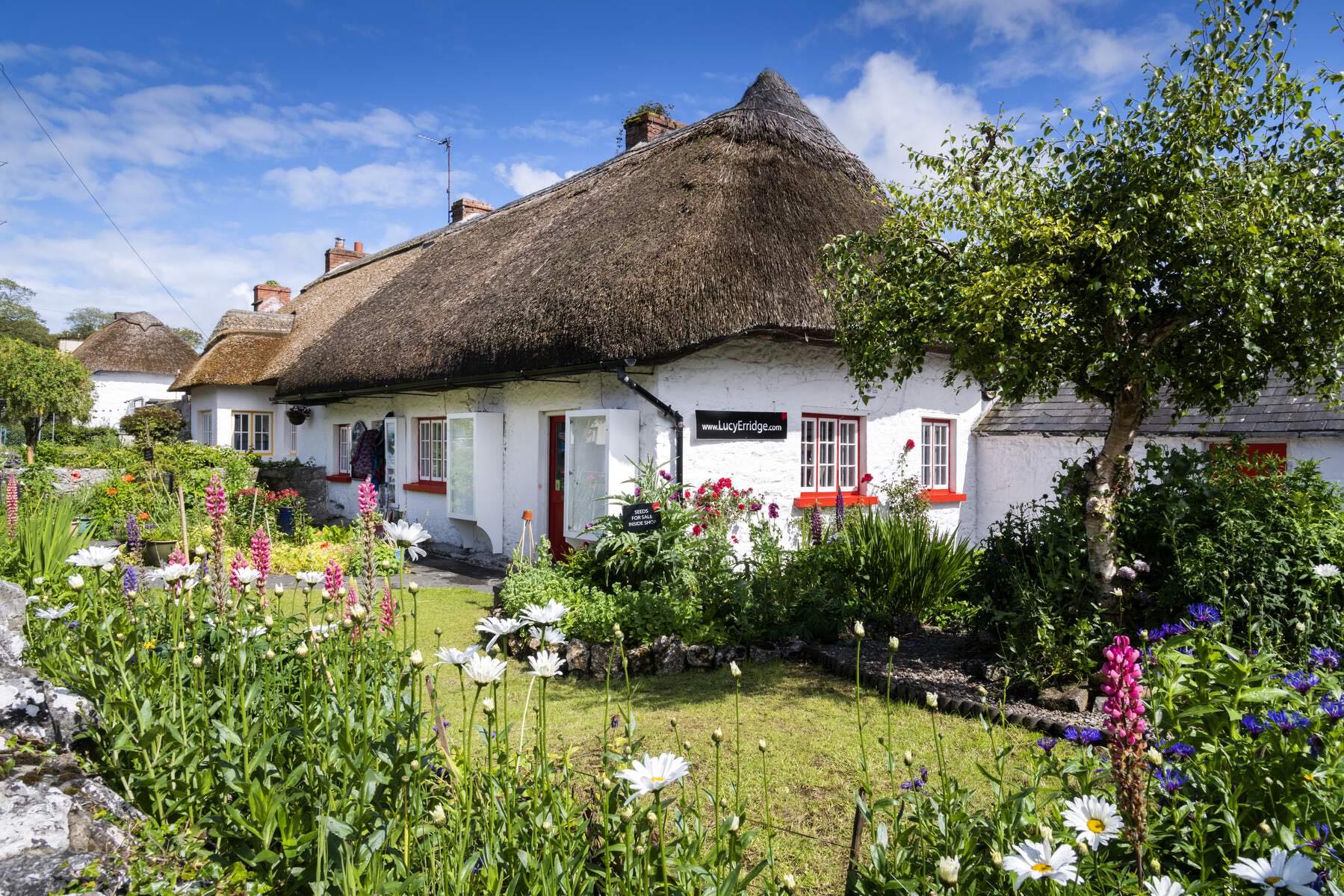 Thatched cottage in Adare, County Limerick, with bright flowers and garden on a sunny day.