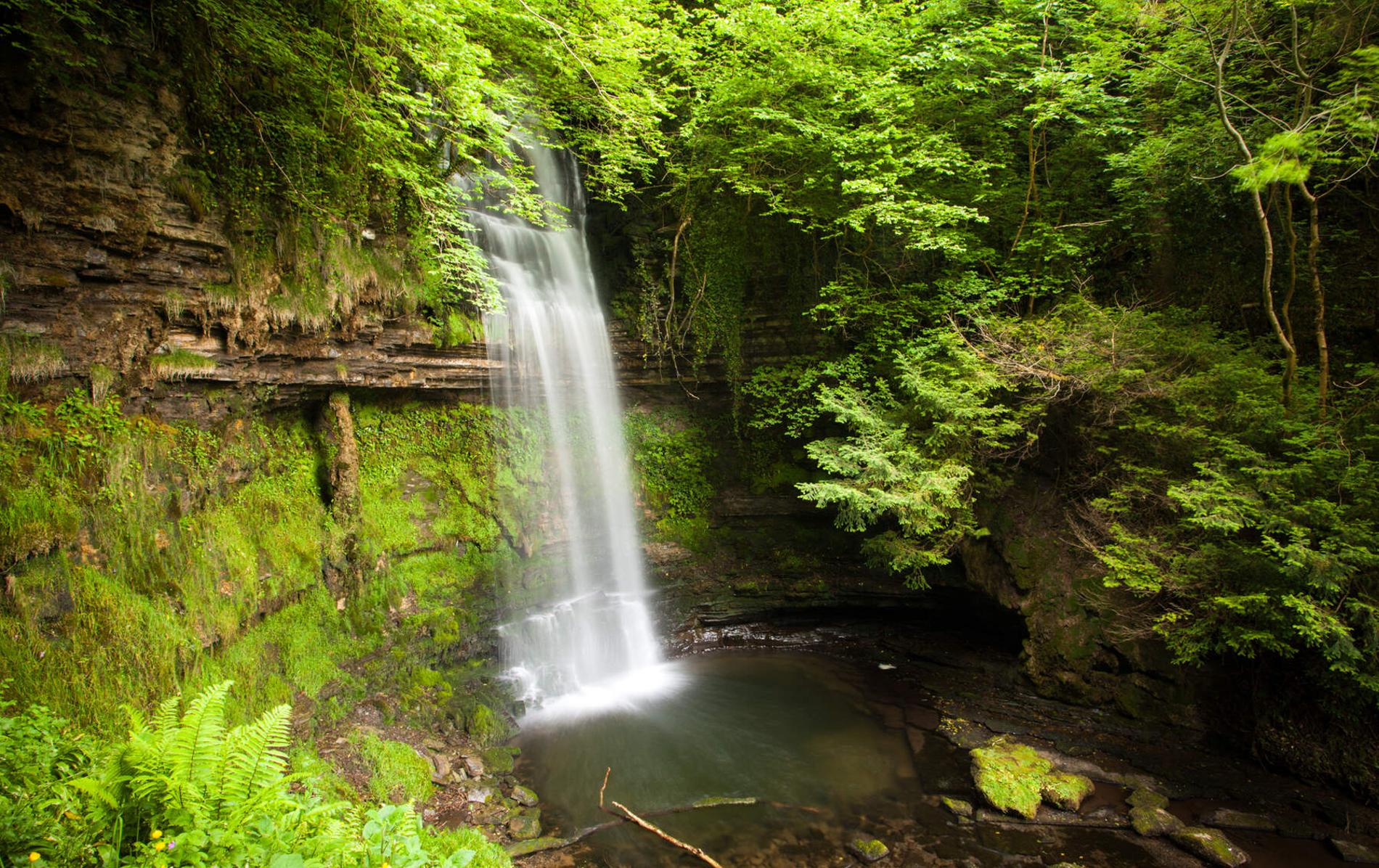 Glencar Waterfall in County Leitrim cascading down mossy rock into a shaded pool, surrounded by dense green forest.
