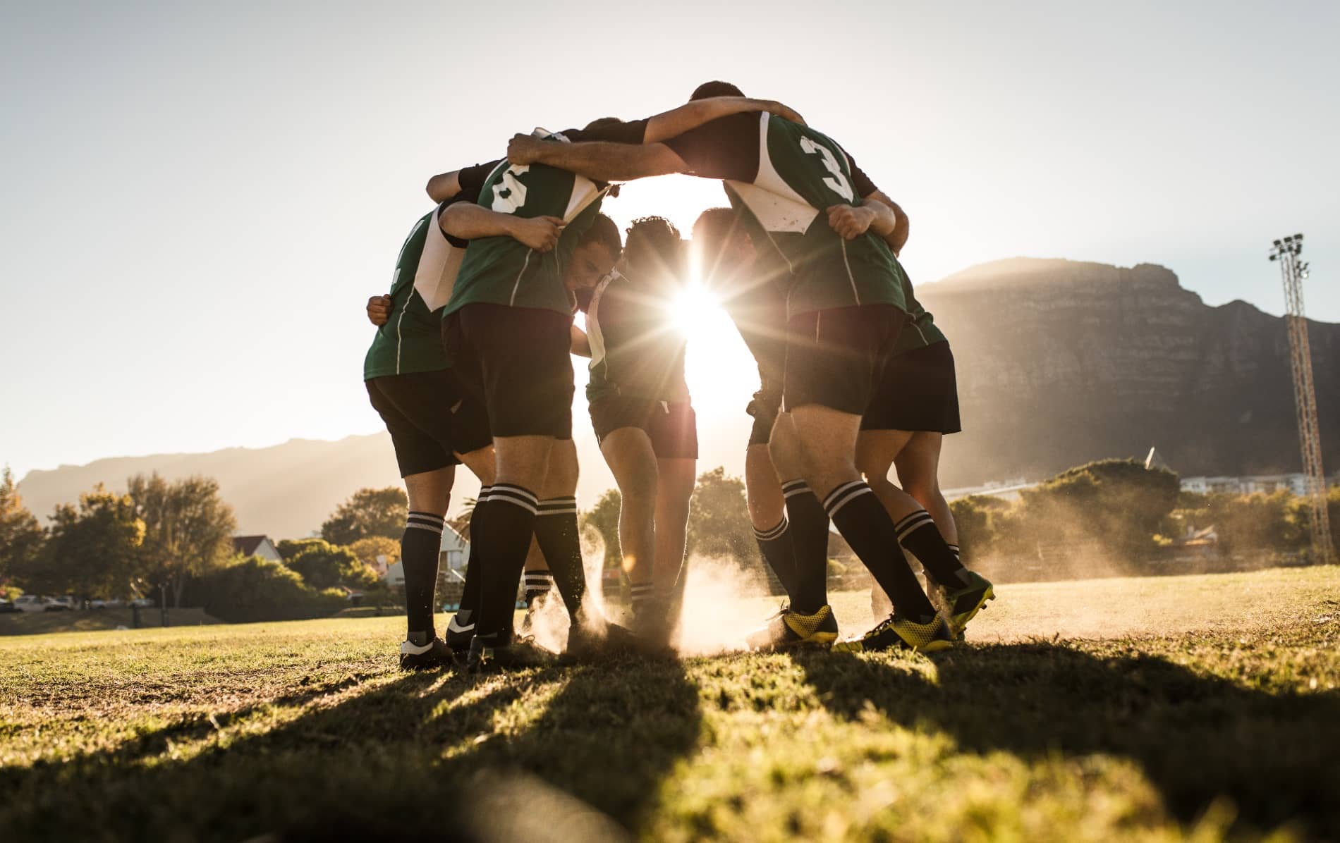 A rugby team in green jerseys forms a huddle at sunset on a grassy pitch, with dramatic backlighting creating a silhouette effect.