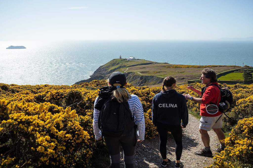 Group hiking a trail in Howth with yellow gorse and sea views of Dublin Bay.