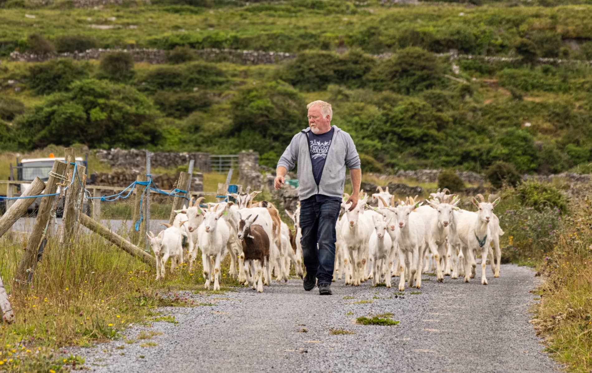 sustainablefoodexperiences-arangoatscheese